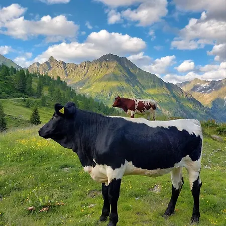 Hansalhof, Rosenduft شقة *