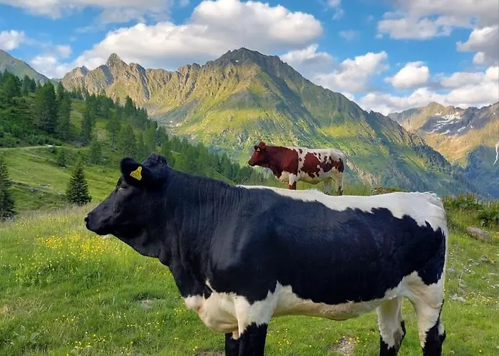 Hansalhof, Rosenduft Lägenhet *